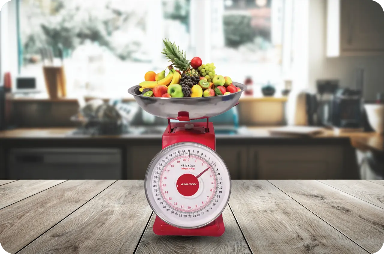 Porduct Category Kitchen Scale