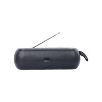 Portable TWS Wireless Hifi Speaker - HT6226